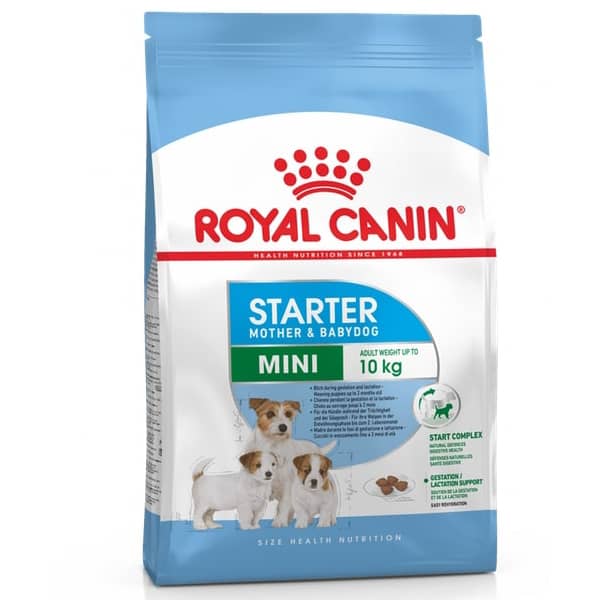 ROYAL CANIN SHN MINI STARTER sausā suņu barība 8kg